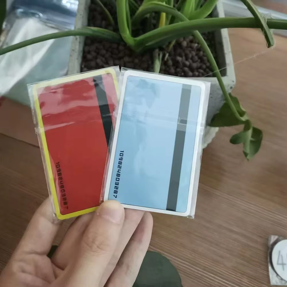 Hunter x Hunter: Official Pro Hunter License Card Set (Pair)